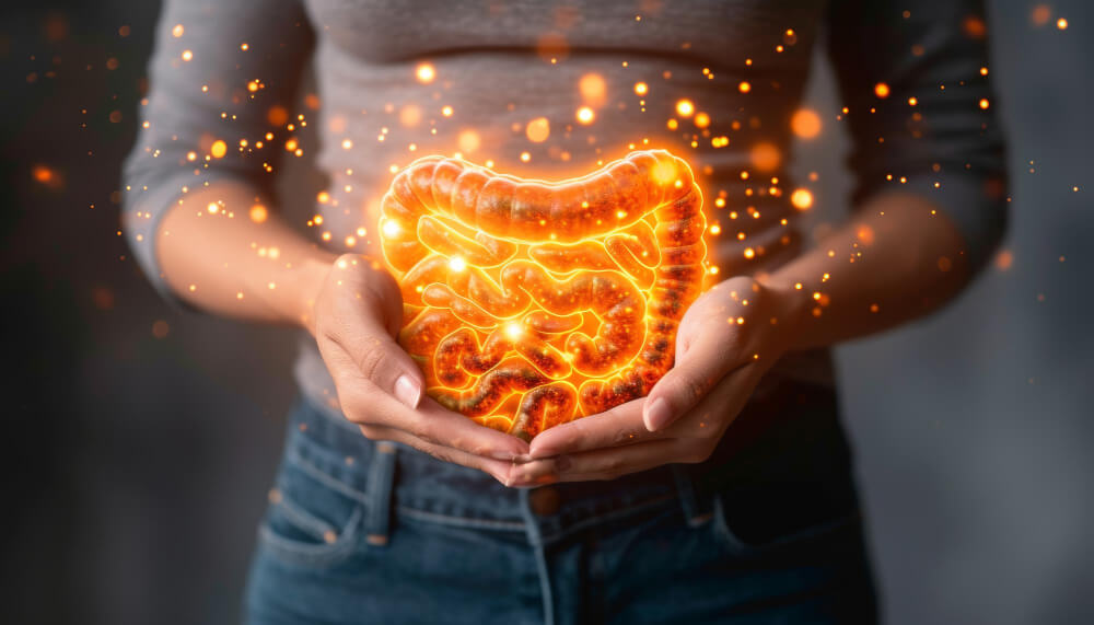 intestino e difese immunitarie intestino e difese immunitarie